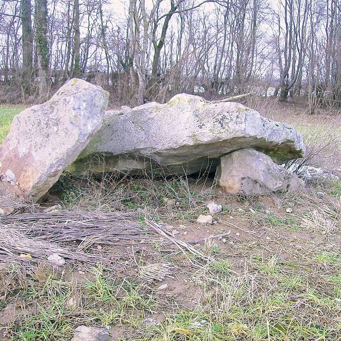Photo de Château de La Ferté-Frênel
